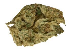 HiSociety 27/1 CAN DEB